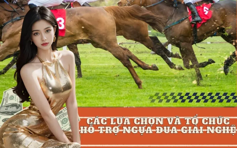Các Lựa Chọn và Tổ Chức Hỗ Trợ Ngựa Đua Giải Nghệ