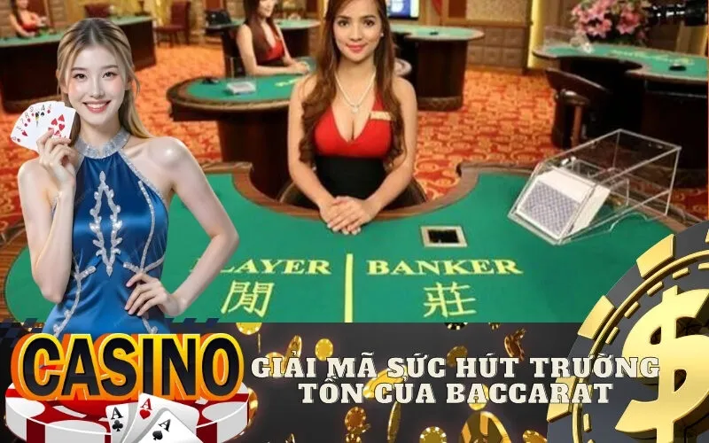 Giải Mã Sức Hút Trường Tồn Của Baccarat