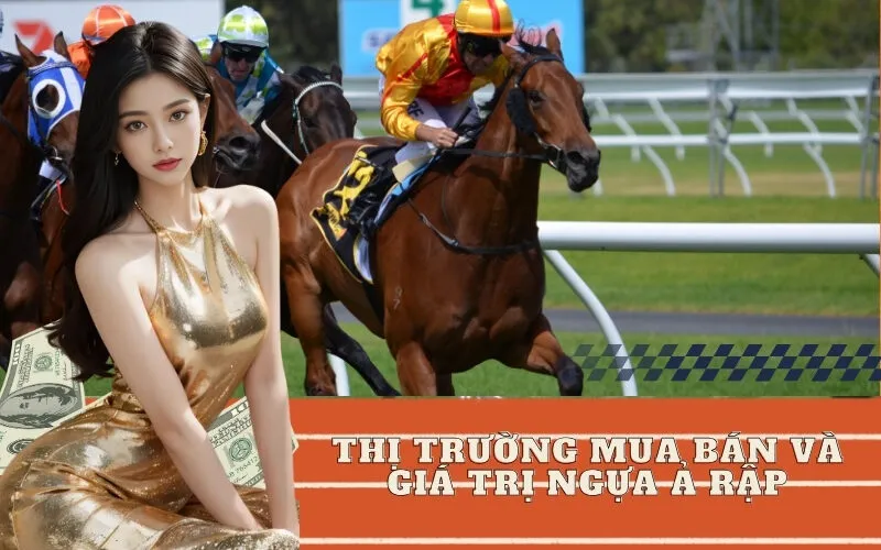 Thị Trường Mua Bán và Giá Trị Ngựa Ả Rập